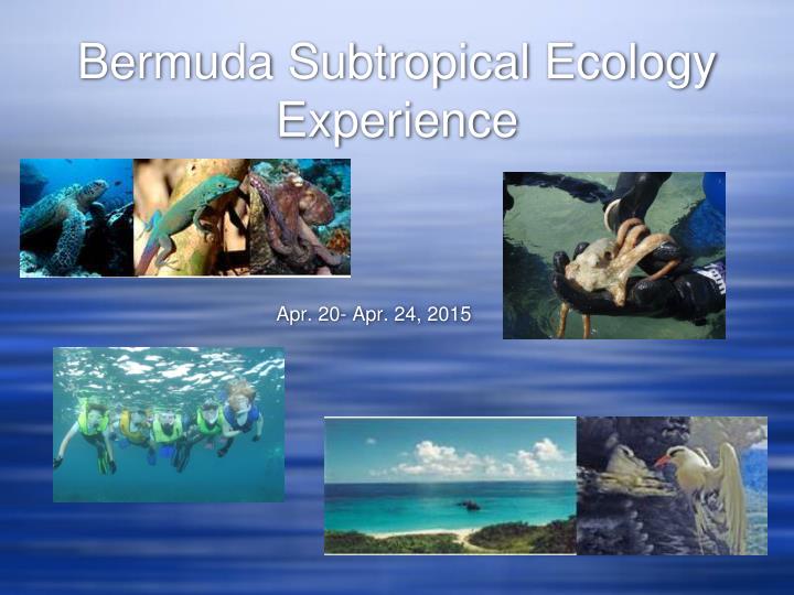 bermuda subtropical ecology experience