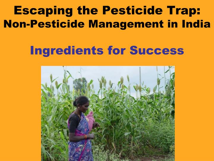 escaping the pesticide trap non pesticide management in india ingredients for success
