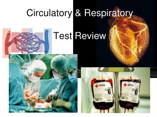 Circu latory &amp; Respiratory Test Review