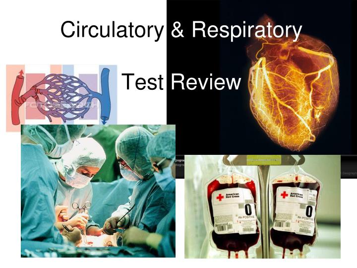 circu latory respiratory test review