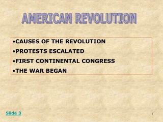 AMERICAN REVOLUTION