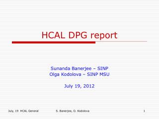 HCAL DPG report