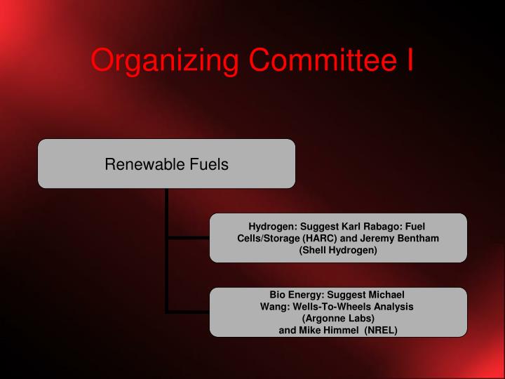 organizing committee i