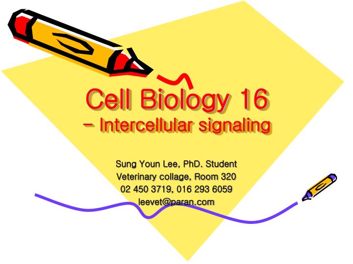 cell biology 16 intercellular signaling