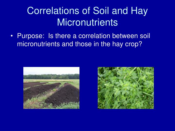 correlations of soil and hay micronutrients