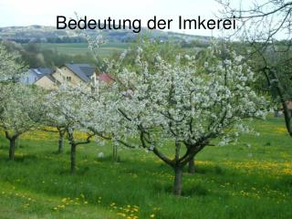 bedeutung der imkerei