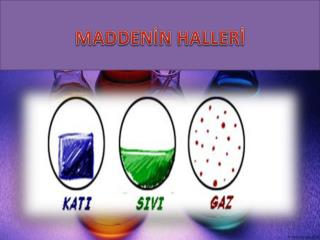 madden n haller