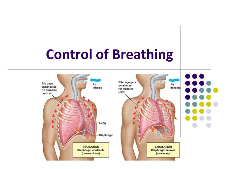 control of breathing