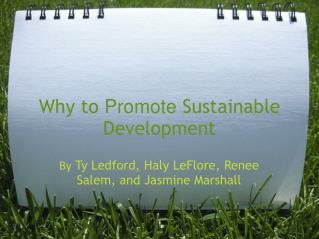 why to promote sustainable development