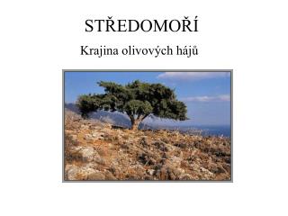 st edomo