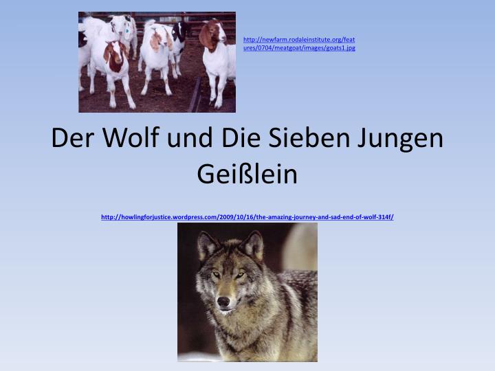 der wolf und die sieben jungen gei lein