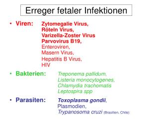 erreger fetaler infektionen