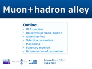 Muon+hadron alley