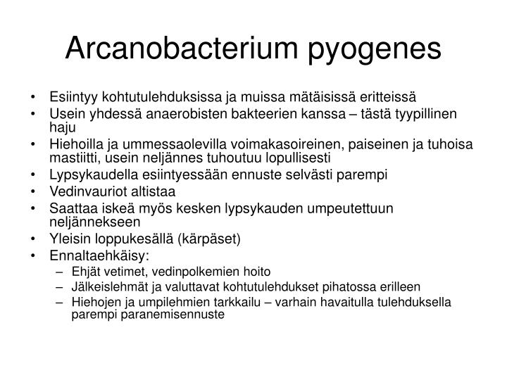 arcanobacterium pyogenes