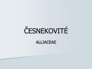 esnekovit