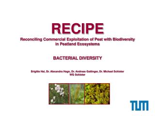 RECIPE Reconciling Commercial Exploitation of Peat with Biodiversity in Peatland Ecosystems