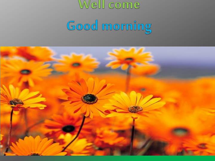 well come good morning