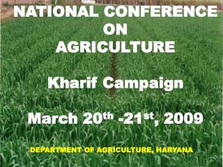 NATIONAL CONFERENCE ON AGRICULTURE Kharif Campaign March 20 th -21 st , 2009