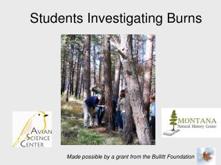 Students Investigating Burns