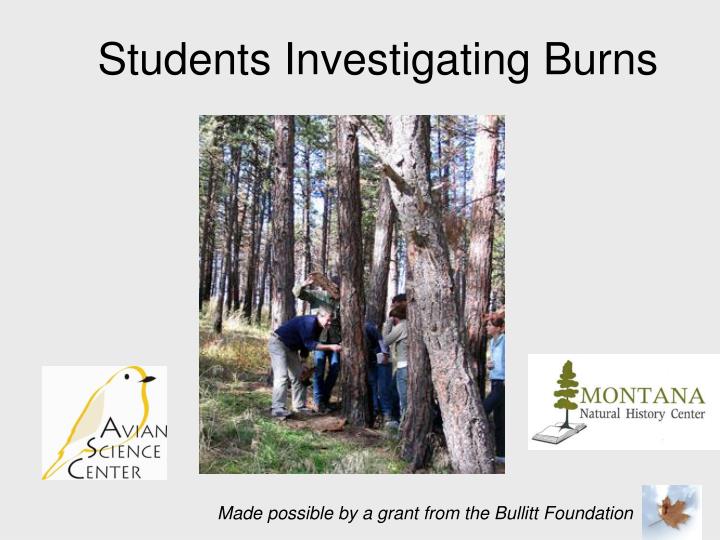 students investigating burns