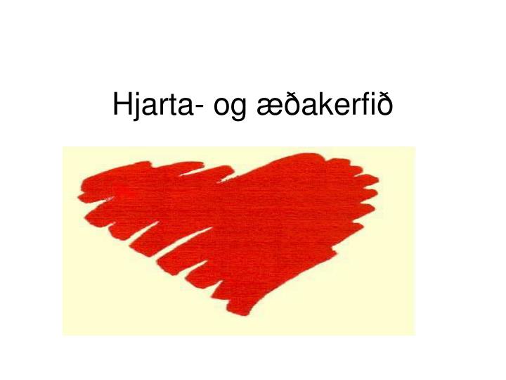 hjarta og akerfi