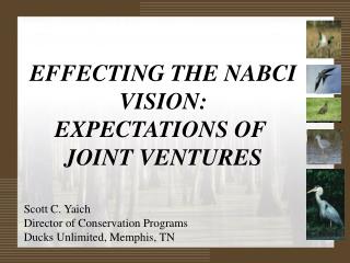 EFFECTING THE NABCI VISION: EXPECTATIONS OF JOINT VENTURES