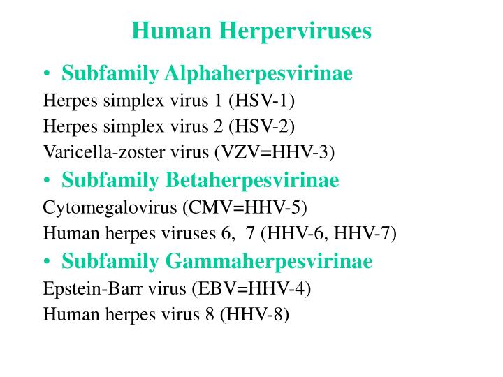 human herperviruses