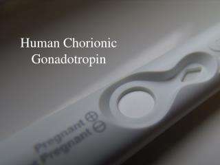 Human Chorionic Gonadotropin