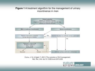 Figure 1 A treatment algorithm for the management of urinary incontinence in men