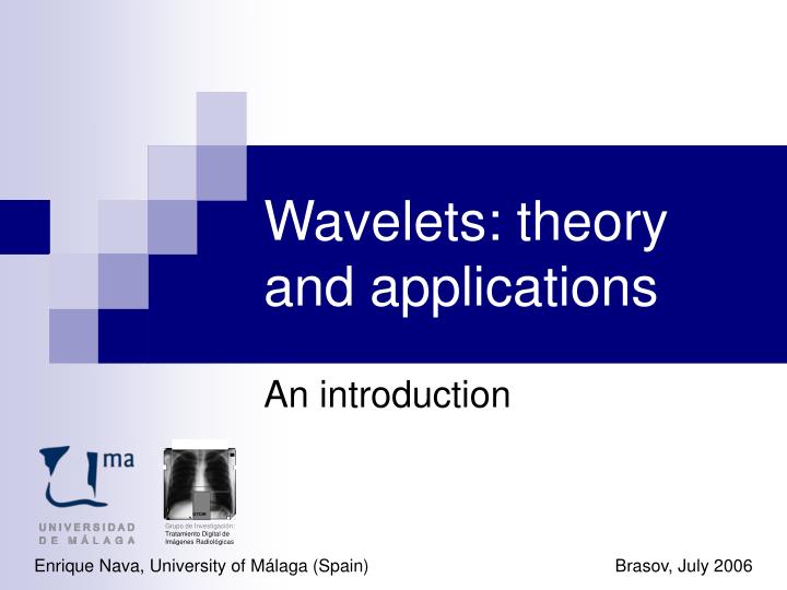 wavelets theory and applications