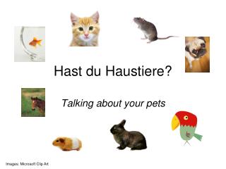 hast du haustiere