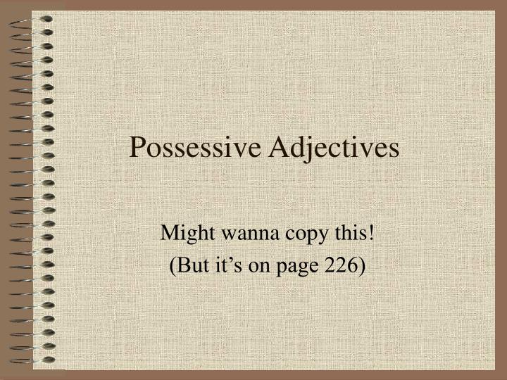 possessive adjectives