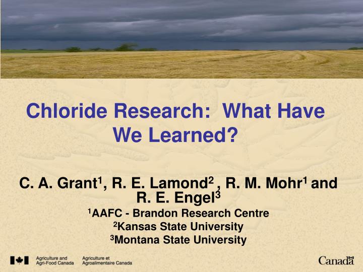 chloride research what have we learned