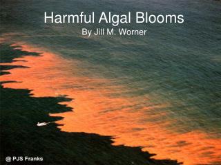 Harmful Algal Blooms