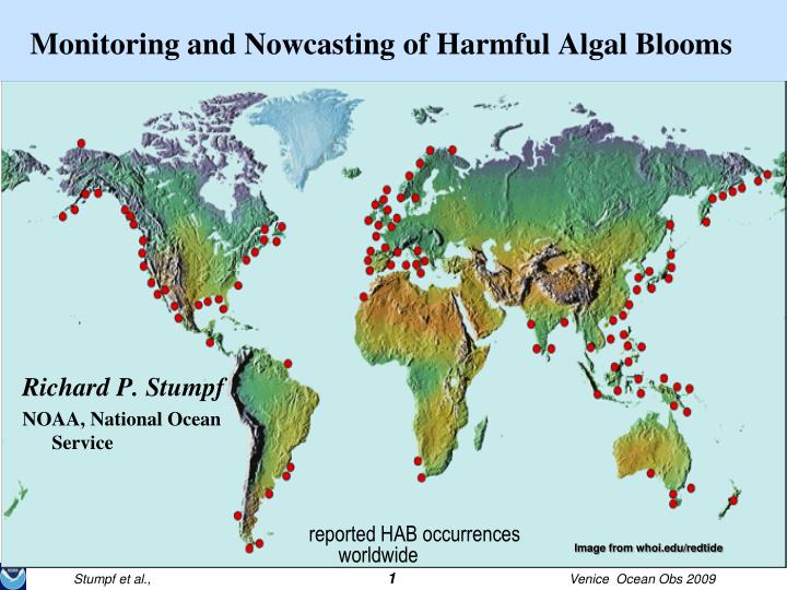 monitoring and nowcasting of harmful algal blooms