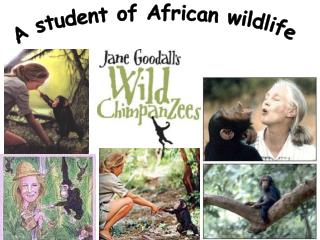 A student of African wildlife