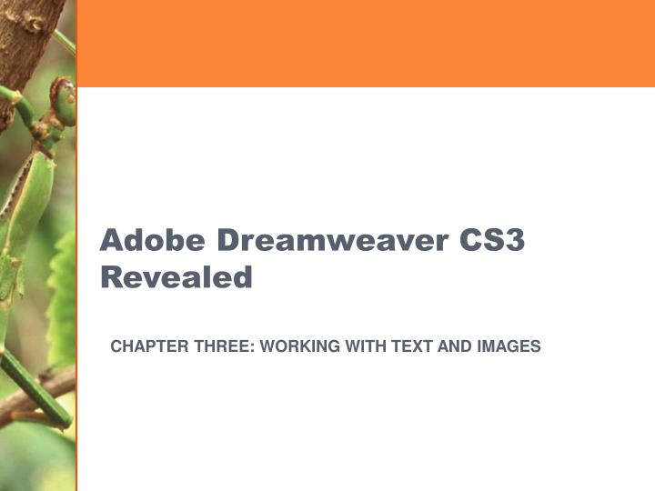 adobe dreamweaver cs3 revealed