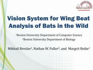 Vision System for Wing Beat Analysis of Bats in the Wild