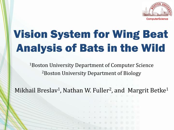 vision system for wing beat analysis of bats in the wild