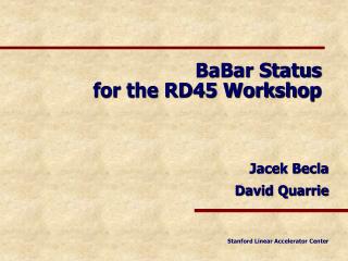 BaBar Status for the RD45 Workshop