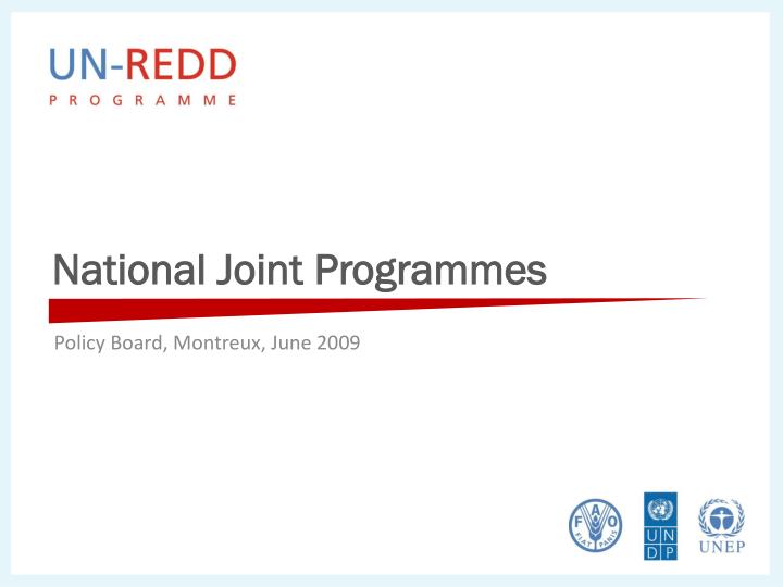national joint programmes