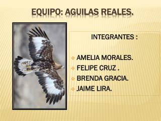 EQUIPO: AGUILAS REALES.