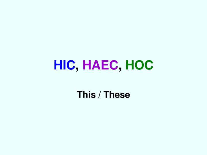 hic haec hoc