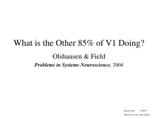 What is the Other 85% of V1 Doing?