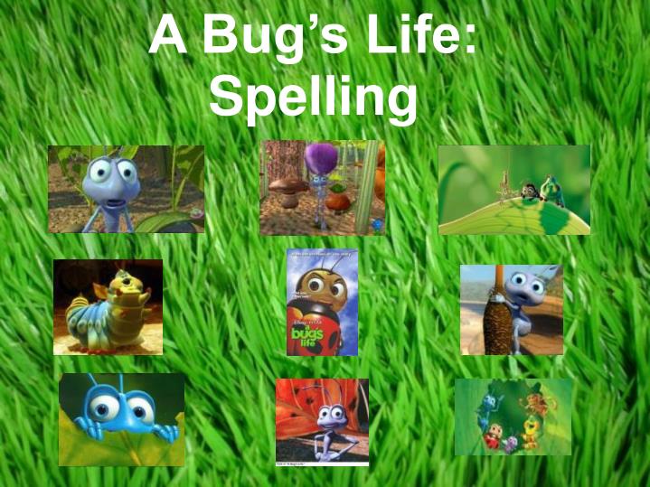 a bug s life spelling