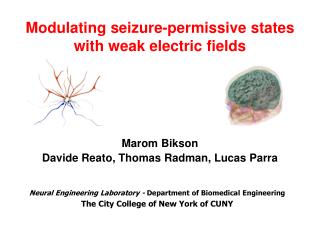 Modulating seizure-permissive states with weak electric fields