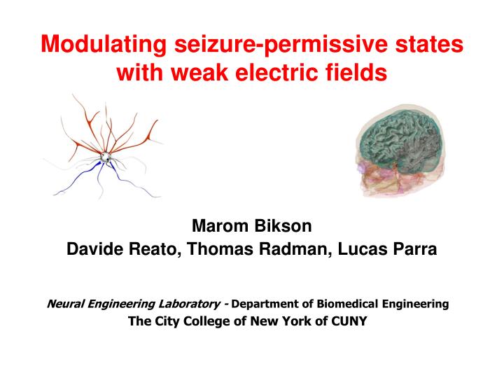 modulating seizure permissive states with weak electric fields