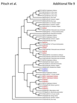 pitsch et al additional file 9