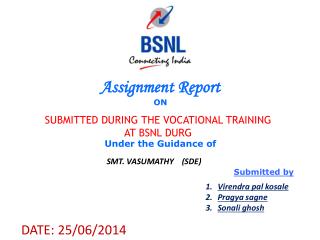 Assignment Report ON