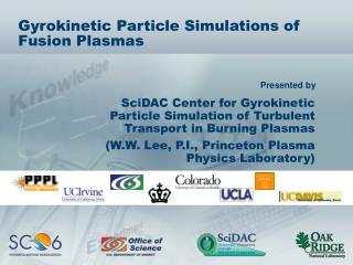 Gyrokinetic Particle Simulations of Fusion Plasmas
